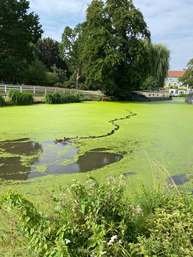 Description of first image