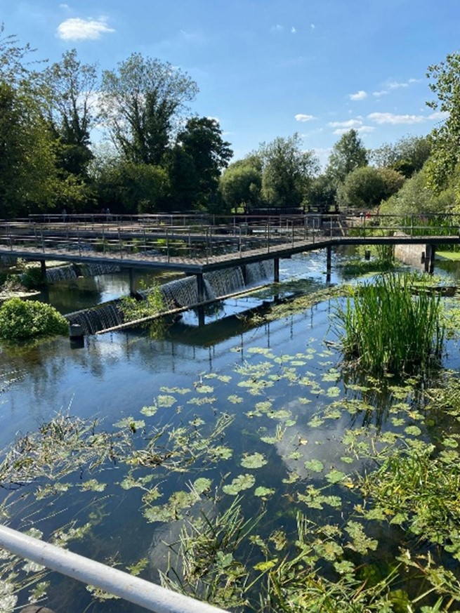 Description of second image