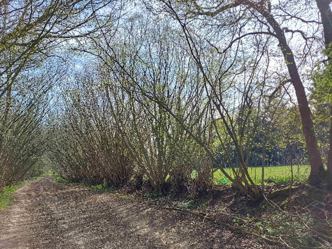 Description of first image