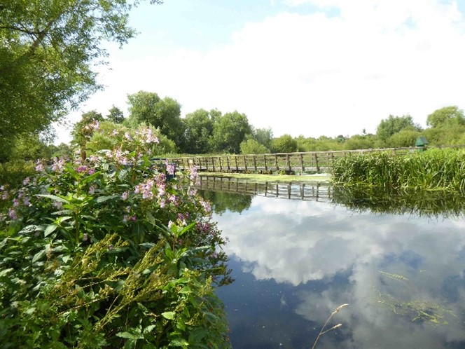 Description of second image